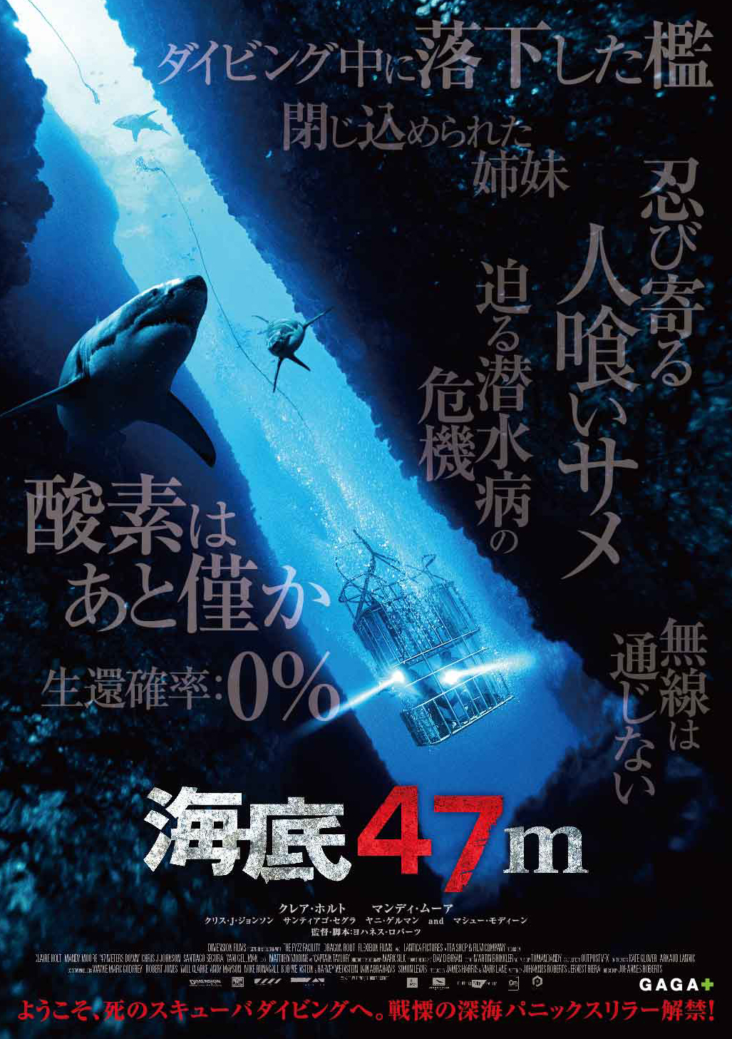 映画『海底47m』 8月12日（土）シネマート新宿ほか全国順次公開
