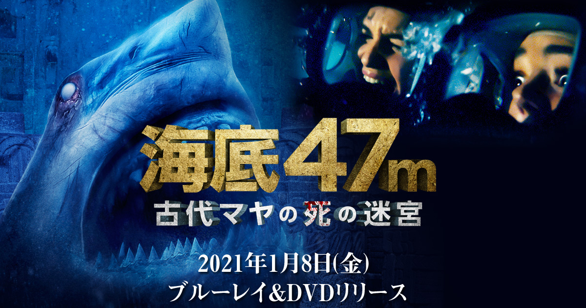 映画『海底47m 古代マヤの死の迷宮』｜DVD公式サイト－GAGA