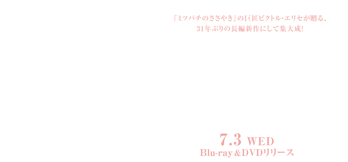 映画『瞳をとじて』2024/7/3（水）Blu-ray&DVD発売