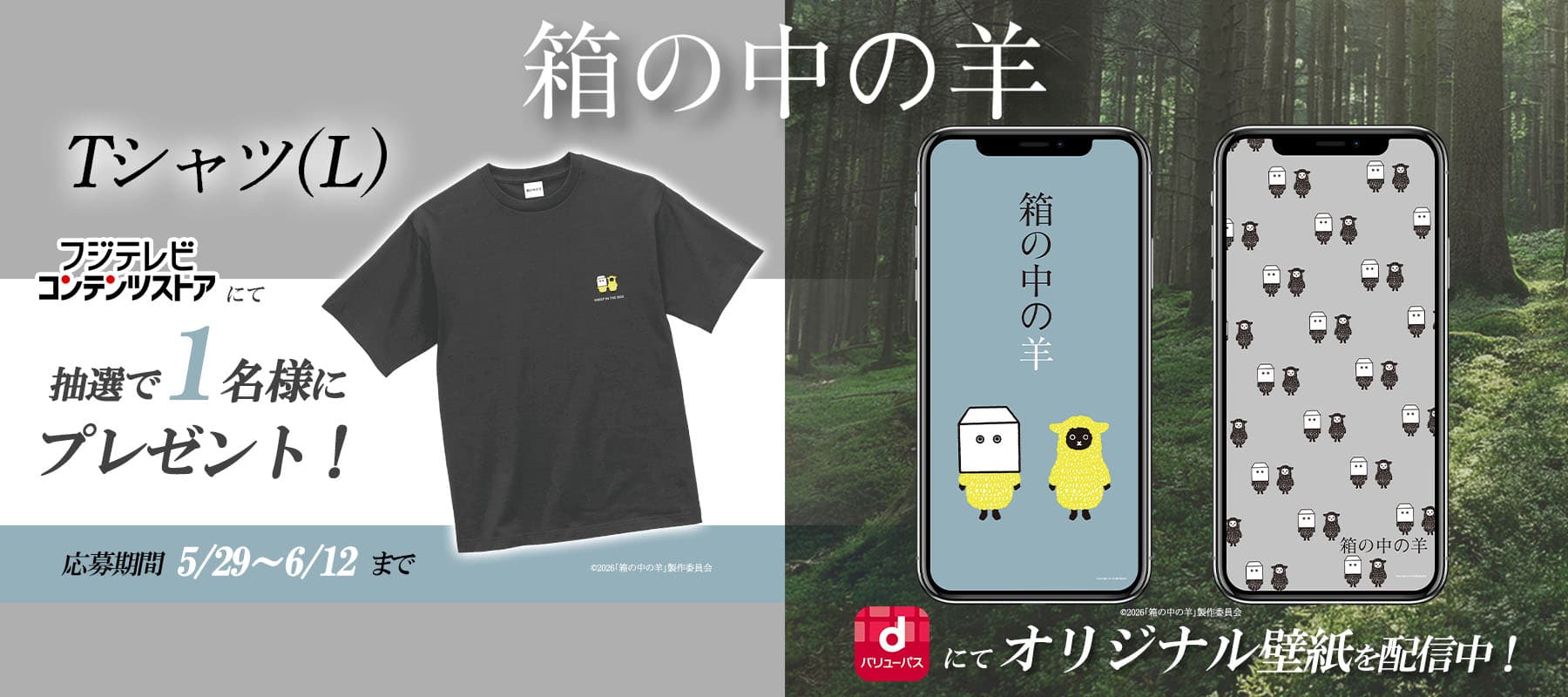 NEWS | 映画『箱の中の羊』公式サイト
