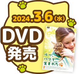 2024.3.6（水）DVD発売