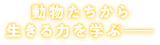 動物たちから生きる力を学ぶ————