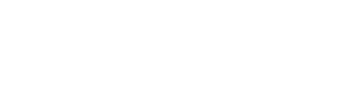 聖なるイチジクの種