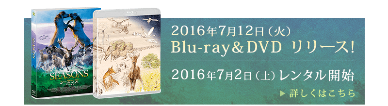 2016年7月12日（火）Blu-ray＆DVD リリース! 2016年7月2日（土）レンタル開始