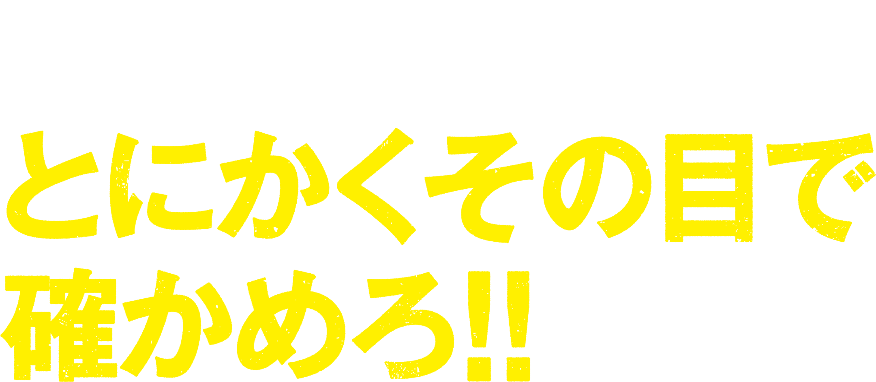 この絶賛！この衝撃！とにかくその目で確かめろ！！